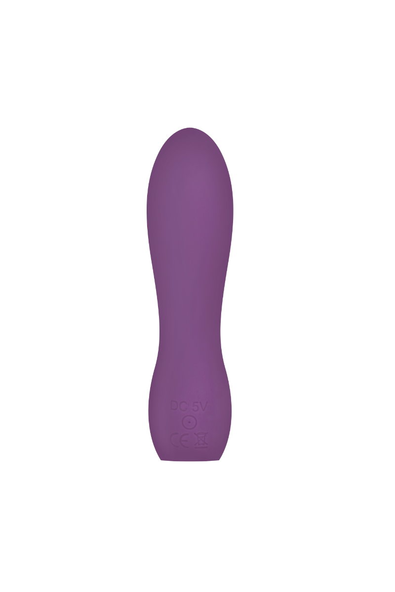 Ivy Intense Power Vibrator Small Purple